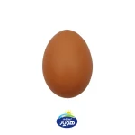تخم مرغ محلی ارگانیک